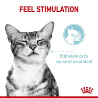 Royal Canin Sensory Mixed Pack in Gravy Wet Cat Food