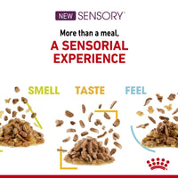 Royal Canin Sensory Mixed Pack in Gravy Wet Cat Food