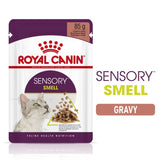 Royal Canin Sensory Smell in Gravy Wet Cat Food