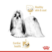 Royal Canin Breed Shih Tzu Mousse Hundefutter
