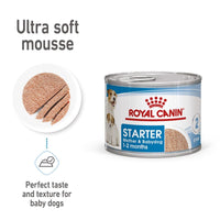 Royal Canin Starter Mousse Mother & Babydog Dog Food