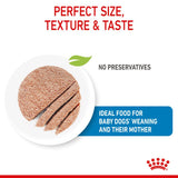 Royal Canin Starter Mousse Mother & Babydog Dog Food
