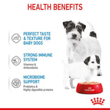 Royal Canin Starter Mousse Mother & Babydog Dog Food