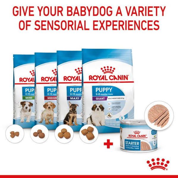 Royal canin medium starter mother & babydog 2025