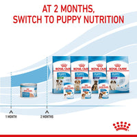 Royal Canin Starter Mousse Mother & Babydog Dog Food