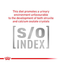 Royal Canin Veterinary Cat - Anallergenic Cat Food