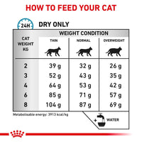 Royal Canin Veterinary Cat - Anallergenic Cat Food