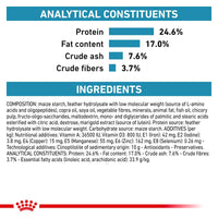 Royal Canin Veterinary Cat - Anallergenic Cat Food