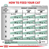 Royal Canin Veterinary Cat - Diabetic Cat Food