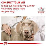 Royal Canin Veterinary Canine Gastrointestinal Low Fat Mousse Dog Food