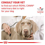 Royal Canin Veterinary Dog - Urinary S/O in Gravy Dog Food