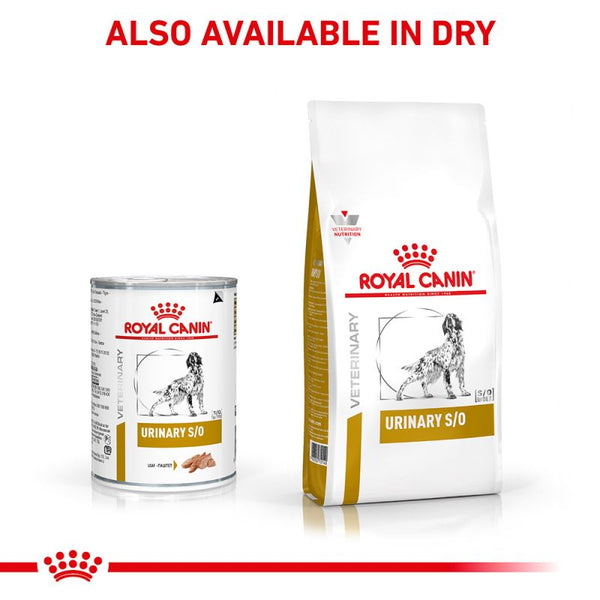 Royal canin urinary so dog food canada online