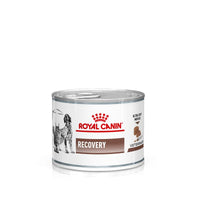 Royal Canin Veterinary Dog & Cat – Recovery Mousse Cat Food