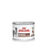 Royal Canin Veterinary Dog & Cat – Recovery Mousse Cat Food