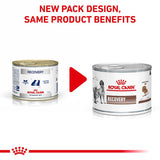 Royal Canin Veterinary Dog & Cat – Recovery Mousse Cat Food