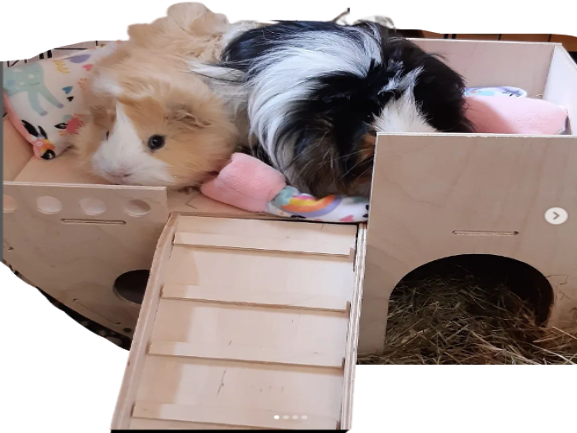 Pirate Ship Guinea Pig Hutch House