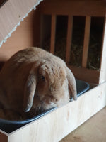 Sandbox Combo Kaninchen Heu Feeder