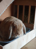 Sandbox Combo Kaninchen Heu Feeder