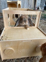 Jeep Rabbit Hutch House