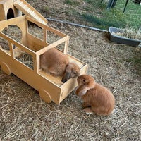 Jeep Rabbit Hutch House