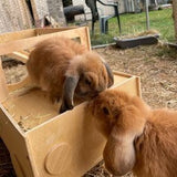 Jeep Rabbit Hutch House