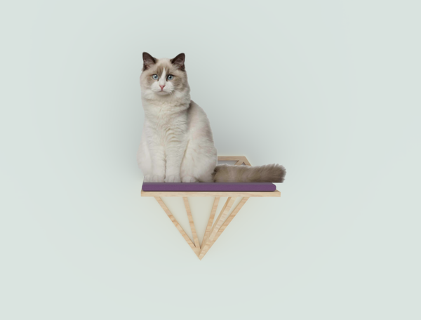 Geometric Diamond | Cat Furniture| Wall Mounted| for Lounging Sleeping Climbing Cat Shelves