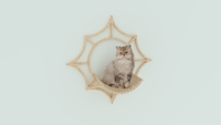 Spider Web | Cat Furniture| Wall Mounted| for Lounging Sleeping Climbing Cat Shelves
