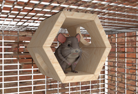 Hexagon Wooden Chinchilla Cage