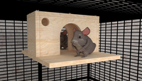 With Entrances Chinchilla Cage