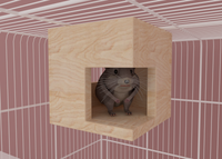 2 Openings Square Chinchilla Cage