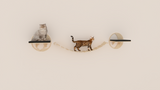 Earth to Moon Bridge |Cat Furniture| Wall Mounted| for Lounging Sleeping Climbing Cat Shelves