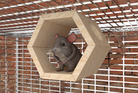 Hexagon Wooden Chinchilla Cage