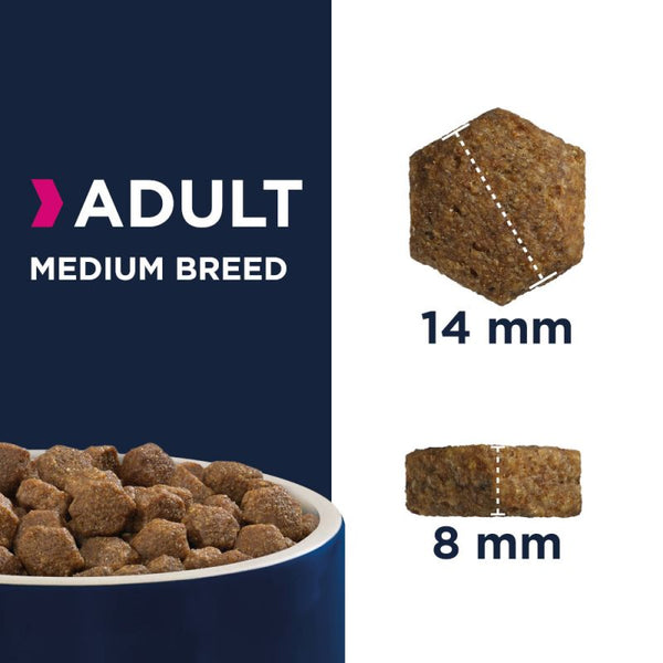 Eukanuba discount adult active