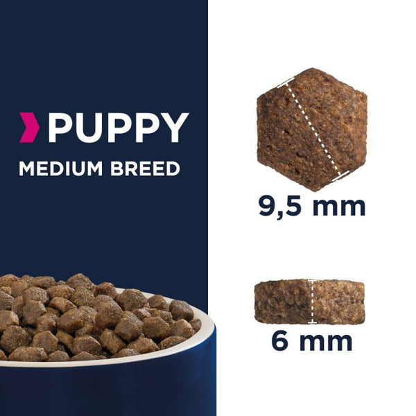 Eukanuba puppy medium sale